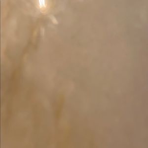 Meet your Posher, Brady